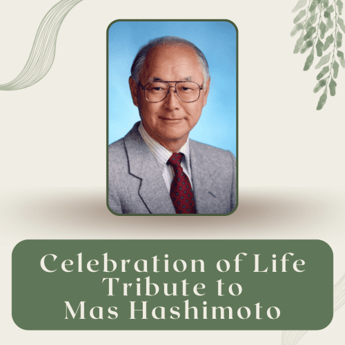 library-watsonville-mas-hashimoto