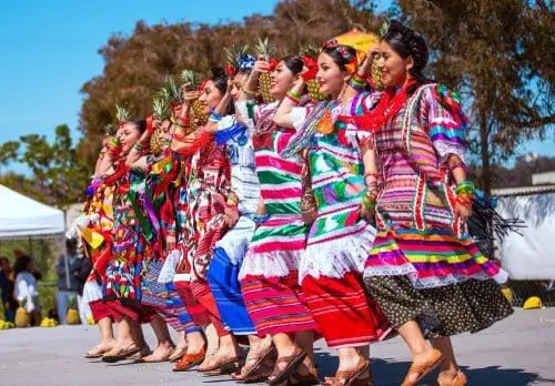 Brancirorte-school-flor-d