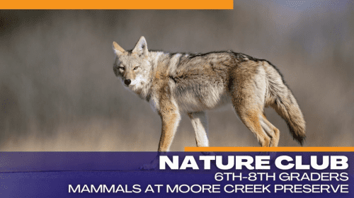 scmus-nature-club-moore-creek-preserve