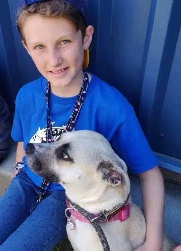 spca-spring-camp-dog-3