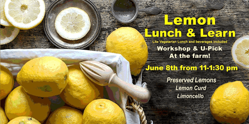 thomas-farm-lemon-lunch-open-farms