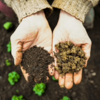 library-branciforte-designing-your-garden