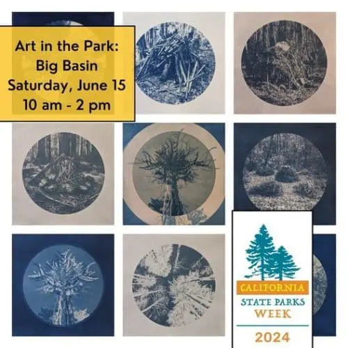 parks-big-basin-art in the Park: Big Basin