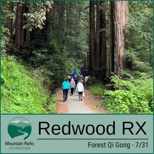 parks-henry-cowell-qi-gogn