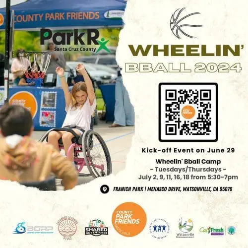 wheelin-basketball