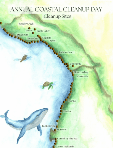 save-our-shores-cleanup-day