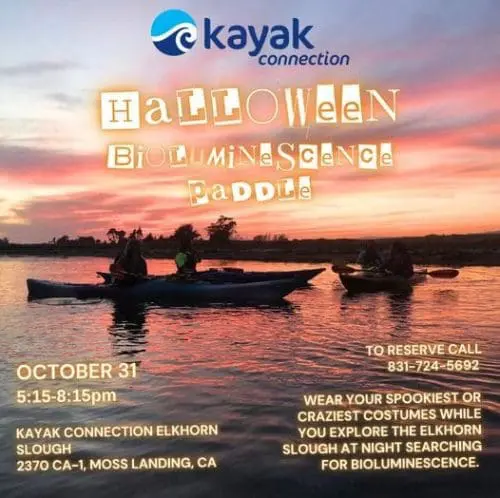 halloween-2024-kayak-connection-bioluminescence-paddle-elkhorn-slough-oct-31