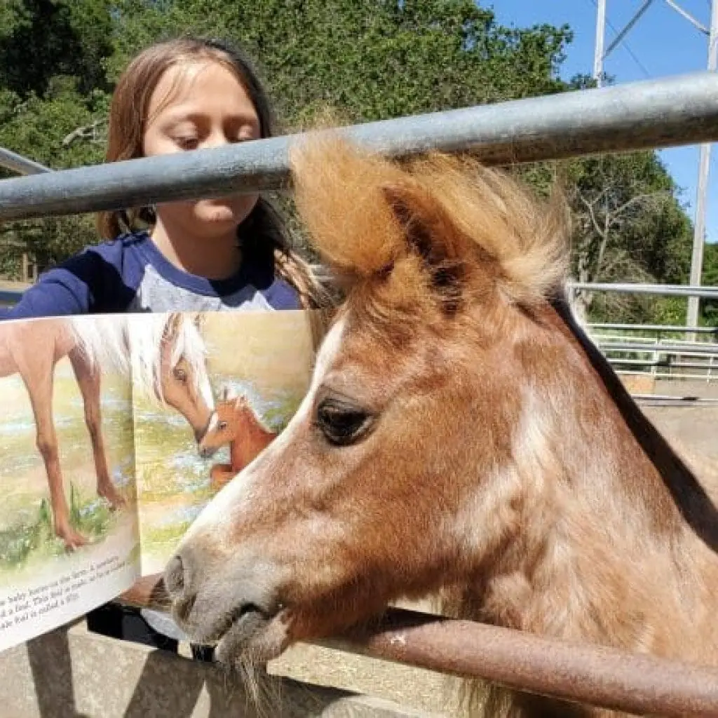 ziggy-the-mini-reads