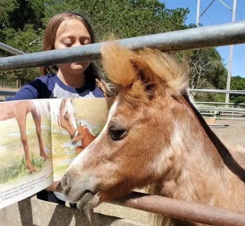 ziggy-the-mini-reads