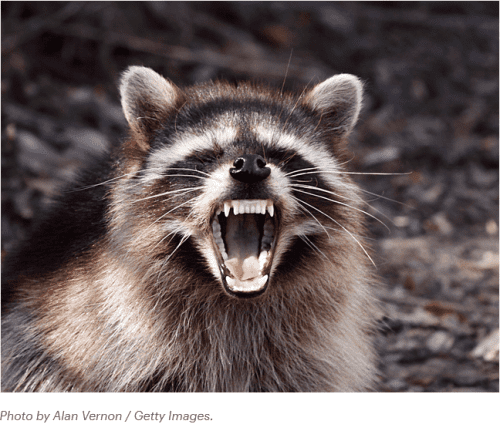 anger-how-to-control