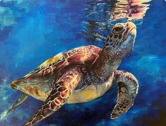 coastal-art-contest-winner