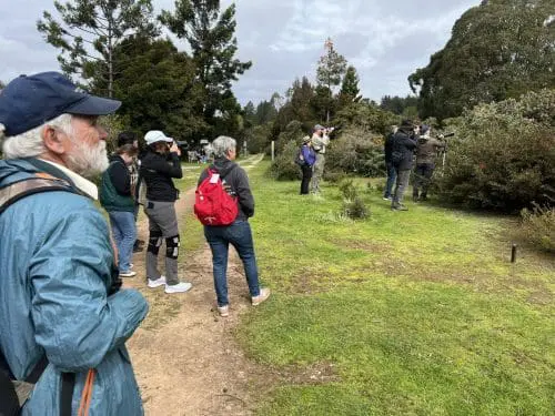 ucsc-arboretum-free-day