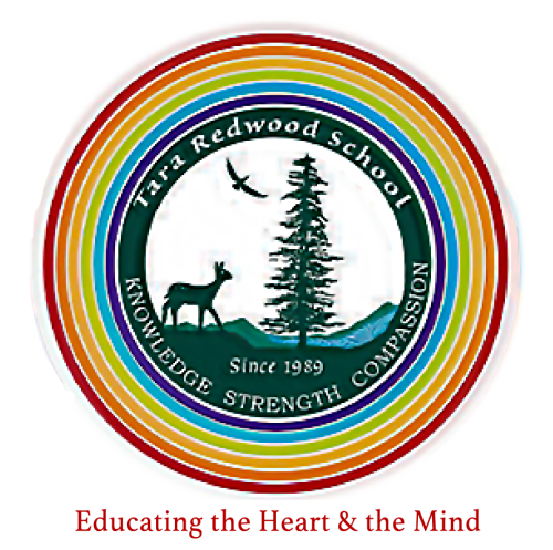 tara-redwood-dwood-school-open-house