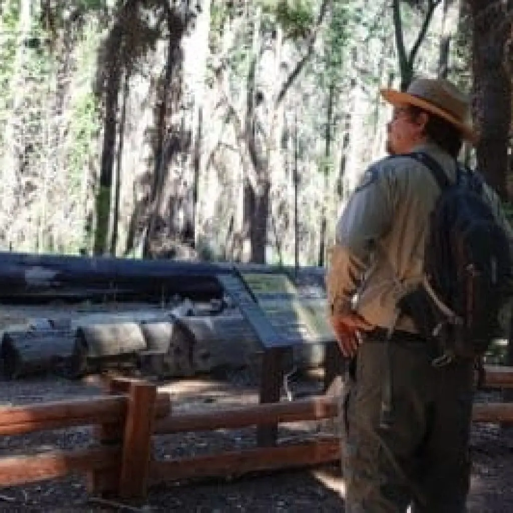 parks-big-basin-guided-walk-yesterday-today-tomorrow