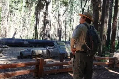 parks-big-basin-guided-walk-yesterday-today-tomorrow