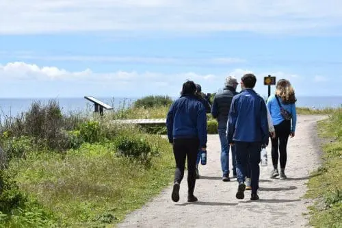 parks-wilder-ranch-guided-coastal-walk