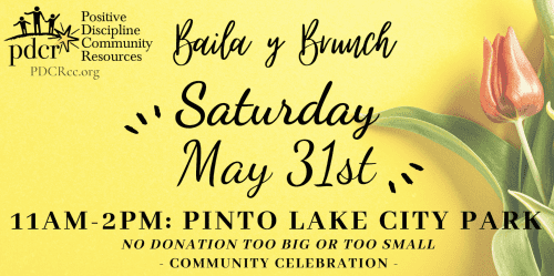 positive-discipline-baila-y-brunch-fundraiser