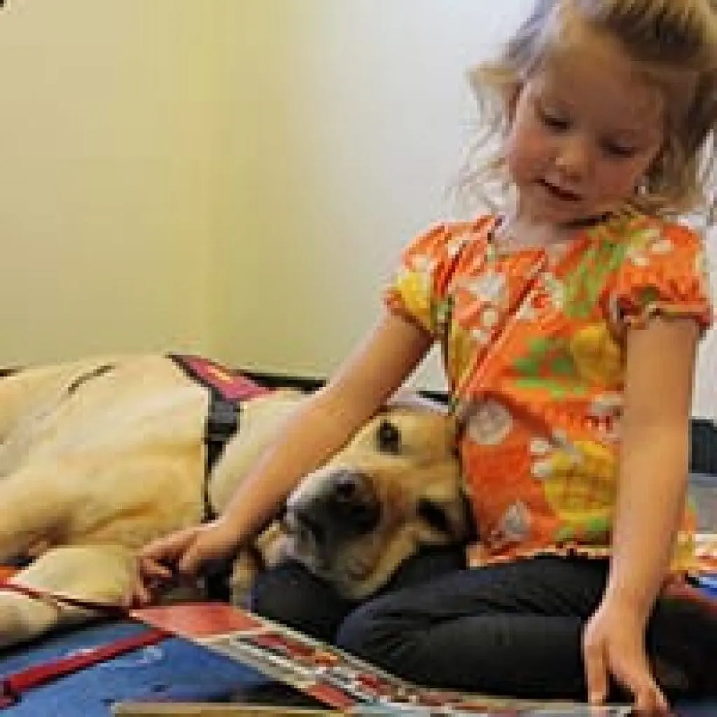 library-tales-2-tails-3