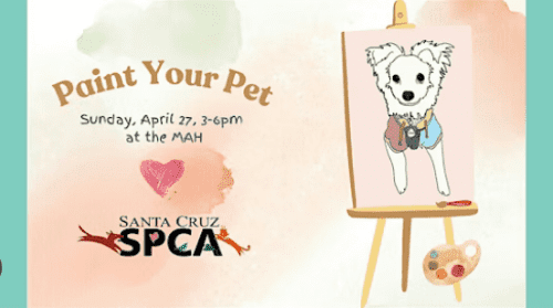 mah-paint-your-pet