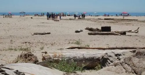 rio-del-mar-state-beach