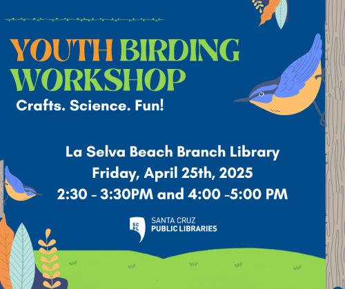 library-la-selva-beach-youth-birding