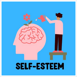 library-felton-self-este