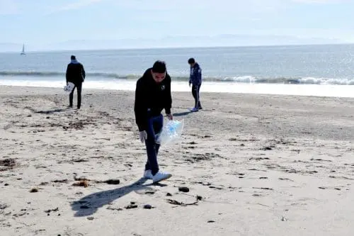 beach-cleanup-santa-cruz-museum-of-natural-history