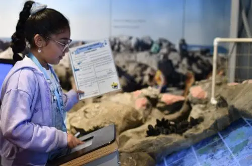 marine-sanctuary-dia-de-commuidad