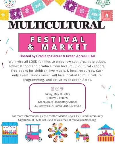 multicultural-festival-and-market
