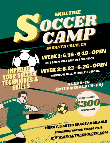 skilltree-soccer-camp