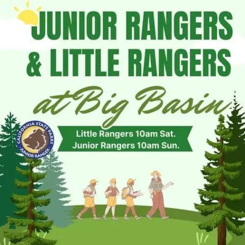 big-basin-state-park-little-junior-rangers