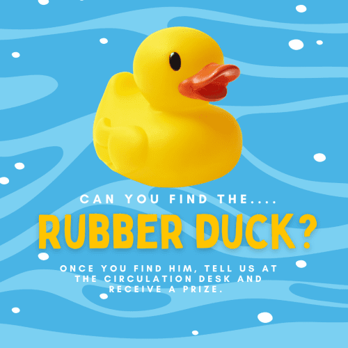 library-la-selva-beach-rubber-duckie