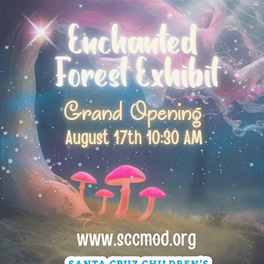 mod-enchanted-forest