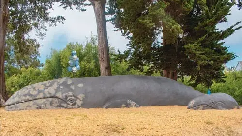 scmnh-120th-whale-of-a-biirthday