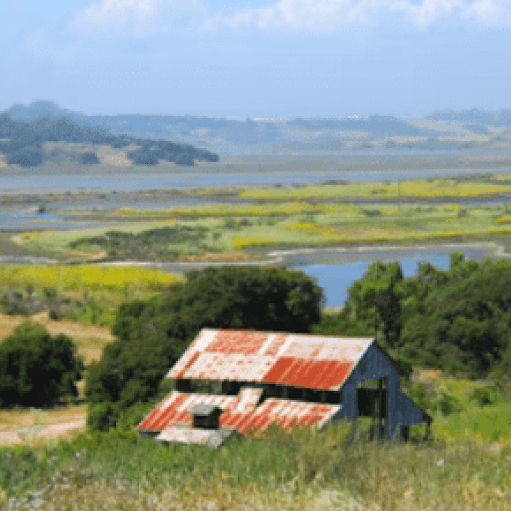 elkhorn-slough-tours