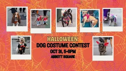 halloween-abbott-square-dog-costume-contest