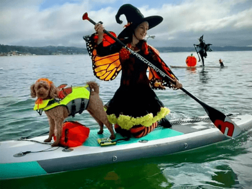 halloween-sea-witches-capitola-wharf