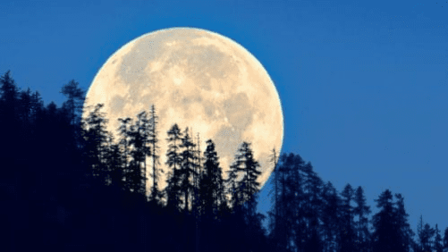 parks-quail-hollow-ranch-full-moon-hike