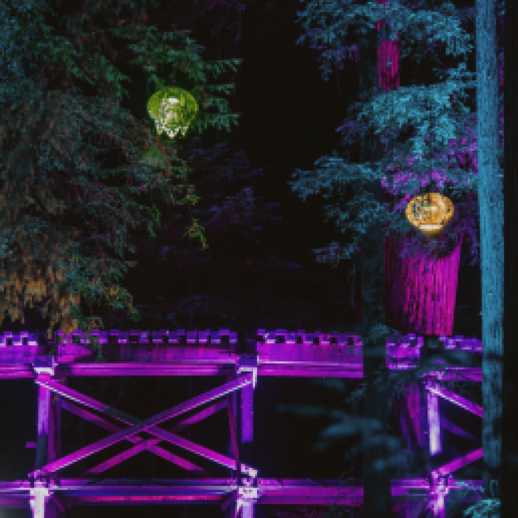 roaring-camp-sequoia-lights