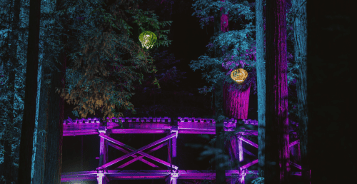 roaring-camp-sequoia-lights