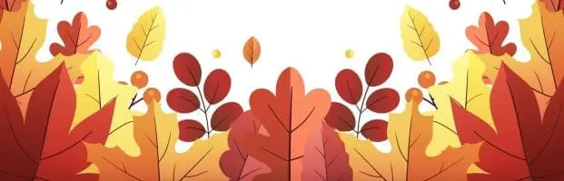 soquel-elementary-school-fall-fun