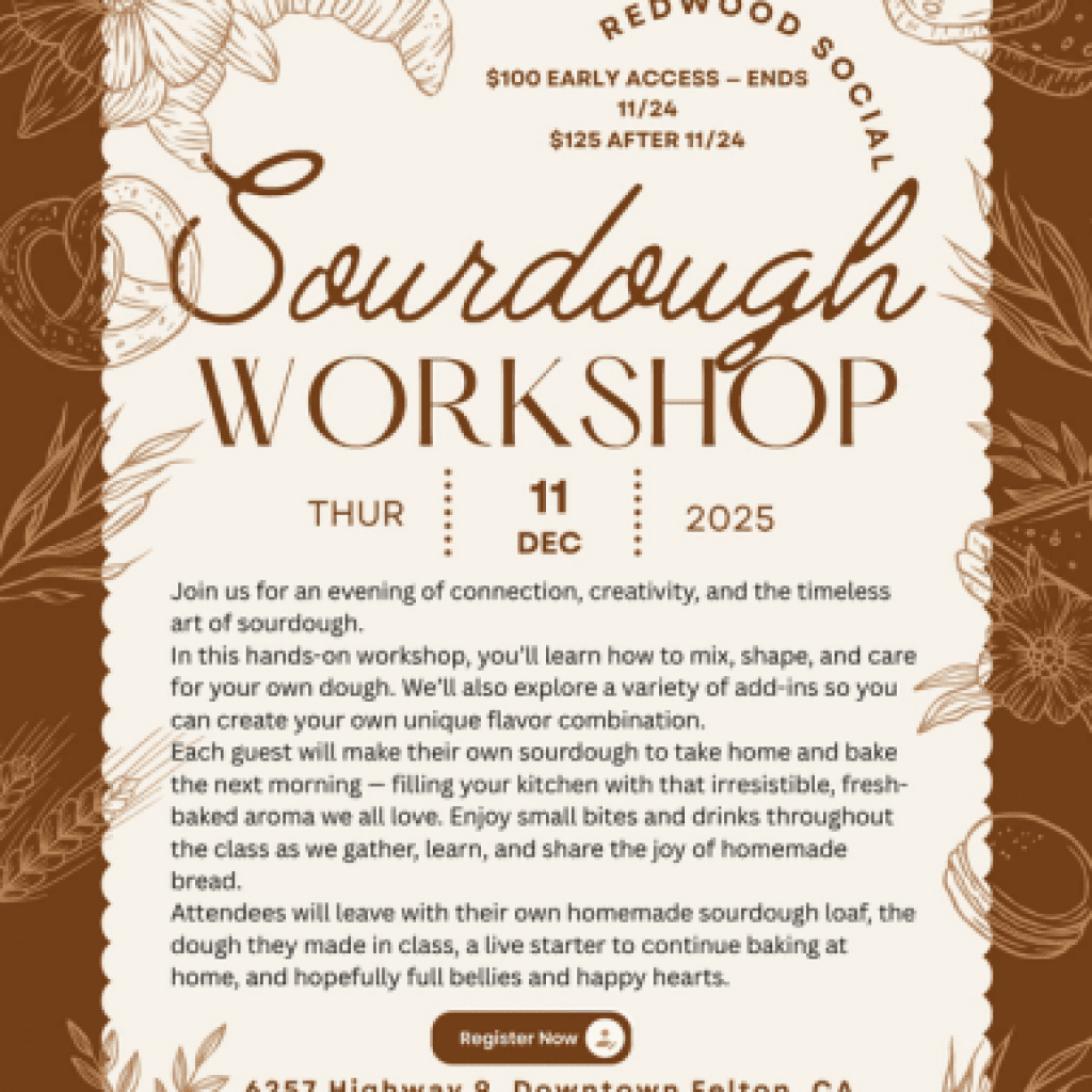 sourdough-workshop