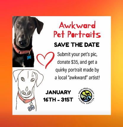 sc-county-animal-shelter-awkward-pet-portraits