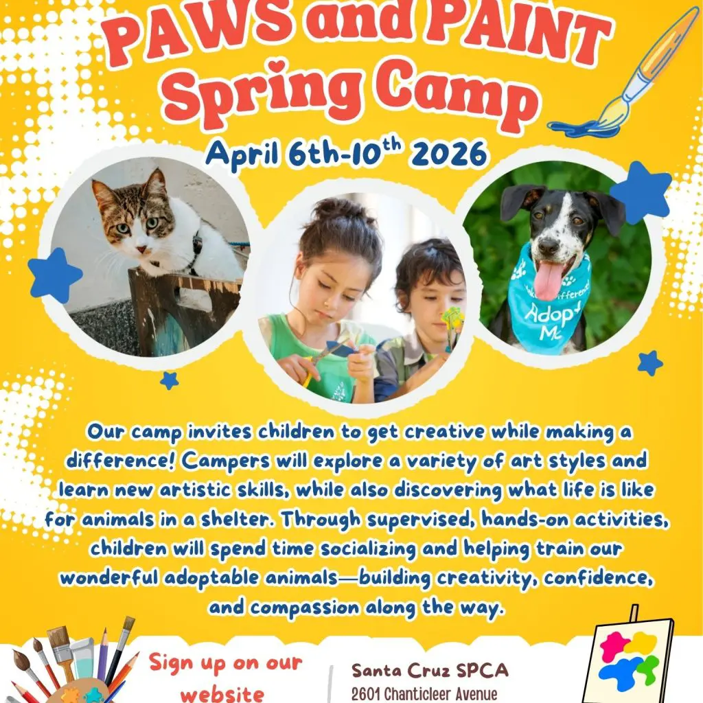Santa-cruz-spca-spring-ca