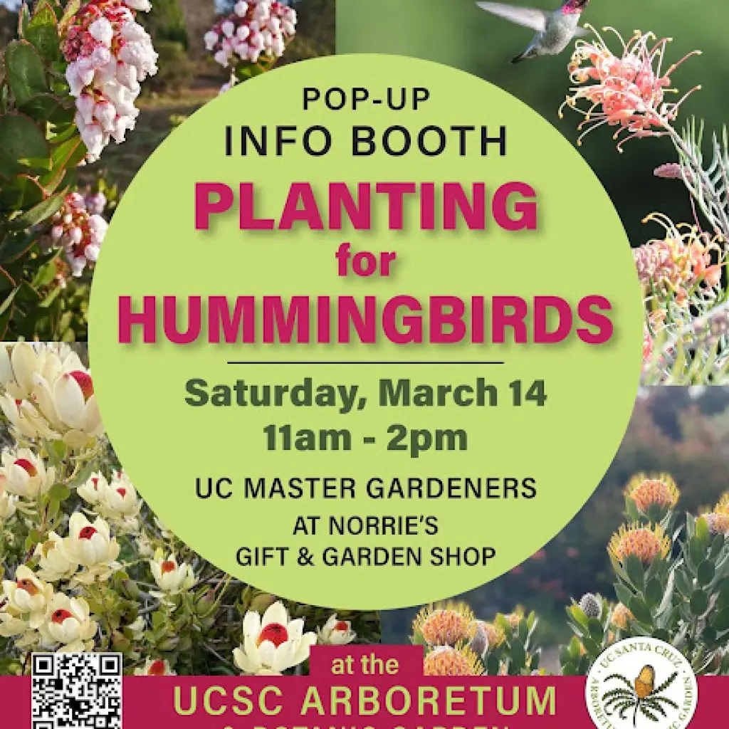 ucsc-arboretum- planting_hummingbirds_pop-up