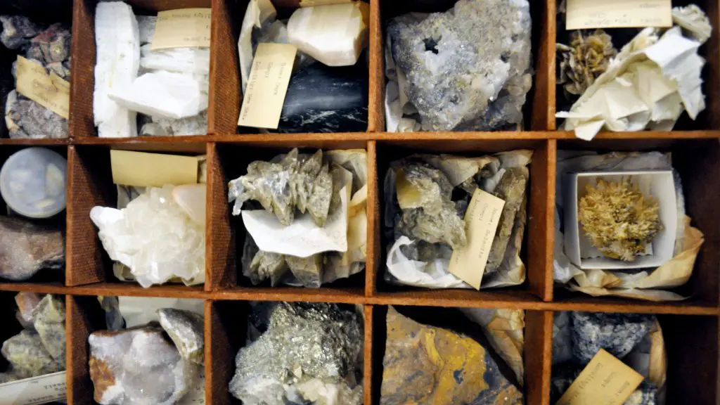 scmnh-rockin-popup-2