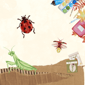 library-watsonville-build-a-bug