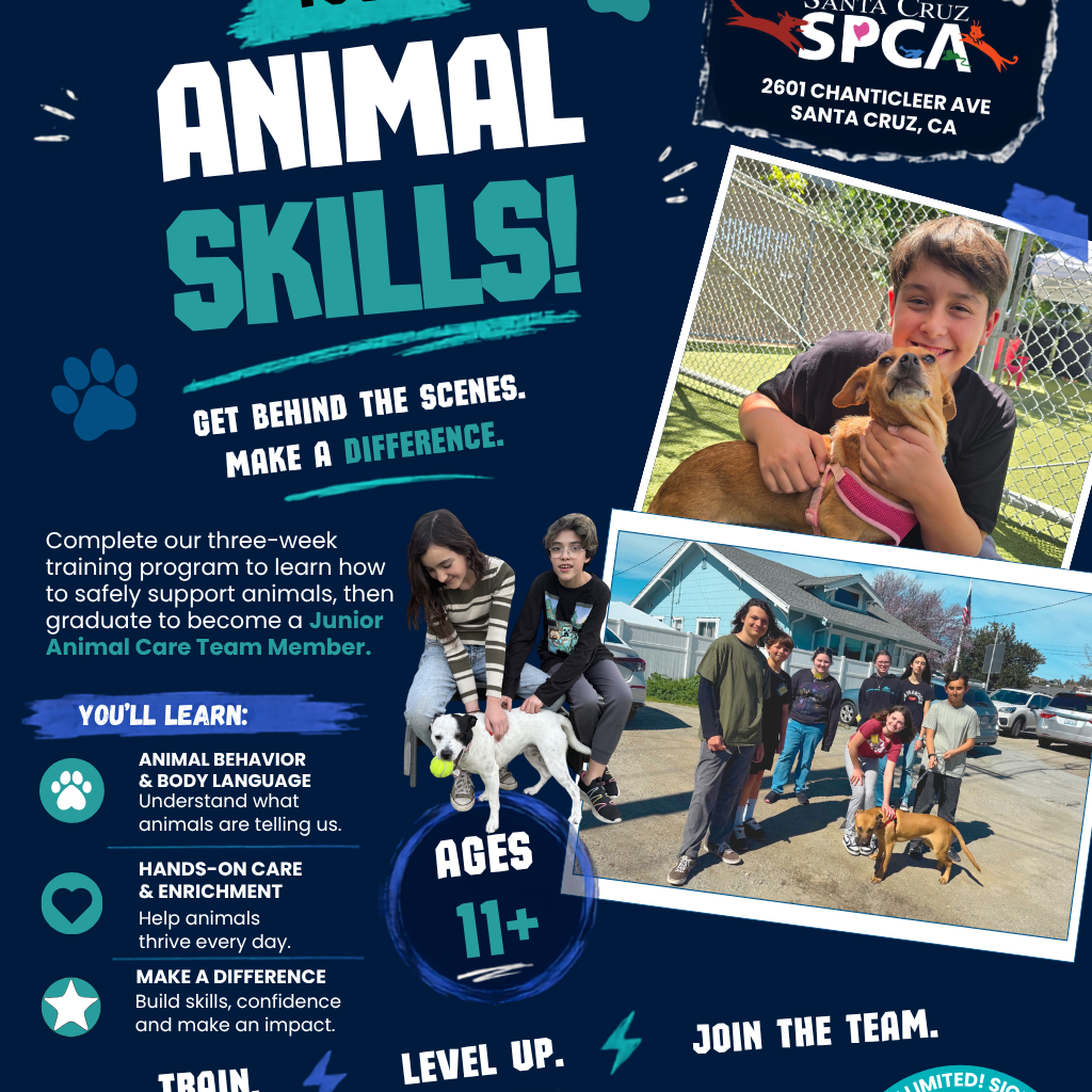 jr-animal-care-team-fall-2026