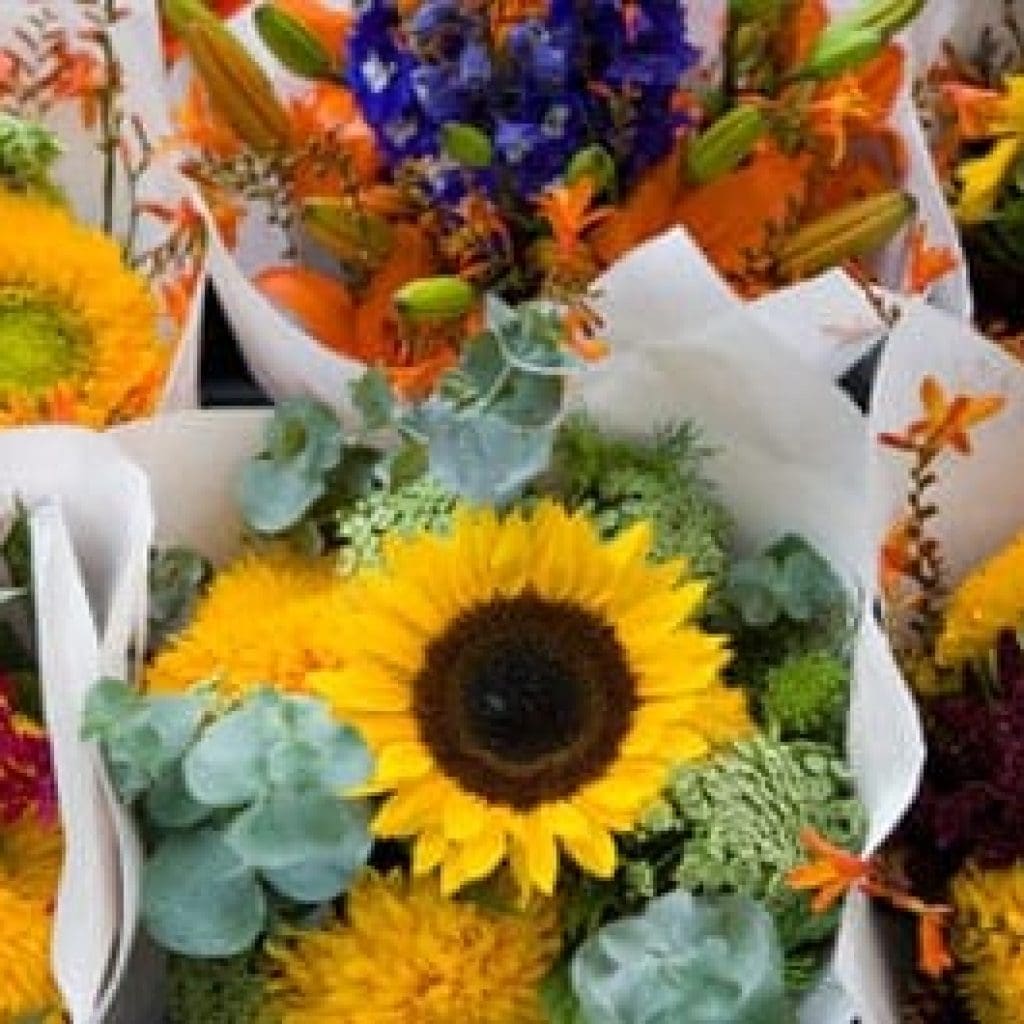 aptos-farmers-market-cabrillo