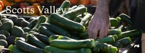 scotts-valley-farmers-market